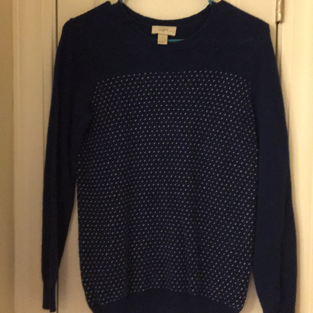 LOFT sweater PS